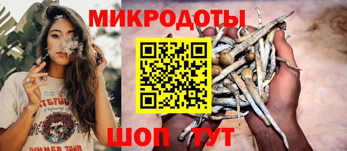 Галлюциногенные грибы прущие грибы Шахты