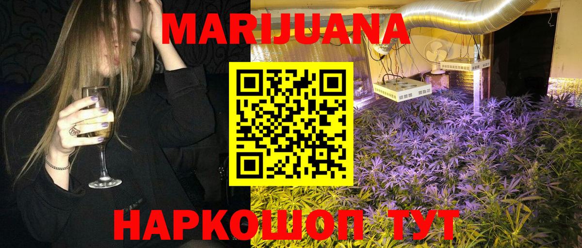 Конопля план Шахты